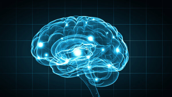 QEEG Brain Mapping Wexford PA
